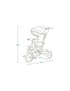 Lionelo Tricicleta pentru copii Berry Gri 2 in 1 multifunctionala rotire 360 grade functie de roata libera utilizare pana la 5 ani constructie din otel conform cu standardul EN71