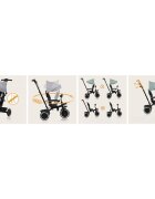 Lionelo Tricicleta pentru copii Berry Roz 2 in 1 multifunctionala rotire 360 grade functie de roata libera utilizare pana la 5 ani constructie din otel conform cu standardul EN71