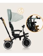 Lionelo Tricicleta pentru copii Berry Verde 2 in 1 multifunctionala rotire 360 grade functie de roata libera utilizare pana la 5 ani constructie din otel conform cu standardul EN71