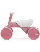 LORELLI Bicicleta de echilibru pentru copii Sunny Road Pink 12-36 luni scaun reglabil lumini si muzica