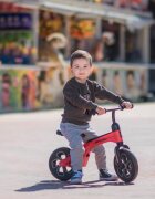LORELLI Bicicleta de tranzitie pentru copii Spider Pink fara pedale ghidon reglabil sezut ajustabil limitator de directie cadru din aluminiu roti 10 inch greutate admisa 20 kg