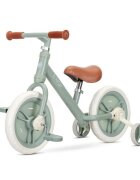 LORELLI Bicicleta pentru copii Energy Green de tranzitie 2 in 1 cu pedale si roti auxiliare 2-5 ani