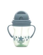 LORELLI Cana cu manere si pai anti-varsare potrivita pentru calatorii 12 luni+ 275 ml Blue Green