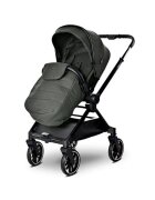 LORELLI Carucior 2 in 1 pentru copii Reya Green cadru din aluminiu suspensii geanta cos individual cu maner de transport maner si sezut reversibile greutate suportata 22 kg