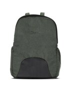 LORELLI Carucior 2 in 1 pentru copii Reya Green cadru din aluminiu suspensii geanta cos individual cu maner de transport maner si sezut reversibile greutate suportata 22 kg