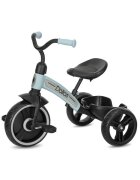 LORELLI Tricicleta pentru copii Dallas Blue 2-6 ani sezut reglabil in inaltime greutate admisa 25 kg