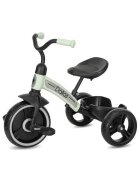LORELLI Tricicleta pentru copii Dallas Mint 2-6 ani sezut reglabil in inaltime greutate admisa 25 kg