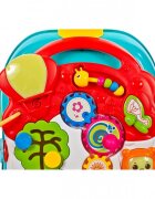 MalPlay Antepremergator interactiv 2 in 1 Musical