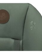 MAXI COSI Scaun de masa Maxi-Cosi Minla beyond graphite eco
