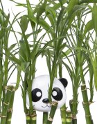 Melii Recipient hrana bebe model panda
