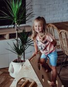 MeowBaby® Triunghi Pikler MeowBaby Scara catarare Montessori naturala