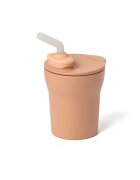 Miniware Pahar cu capac si pai antrenament bebelusi 1-2-3 Sip Toffee