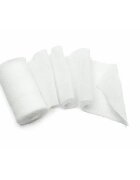 Minut Fasa tifon 10 m x 15 cm 23gr