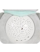 MONI Lampa de veghe pentru camera copii Snuggly Racoon cu sunete albe10 melodii linistitoare si sunete ale naturiiVolum reglabilOprire automata dupa 20 minuteMaterial plus moaleProiector detasabil utilizare individuala