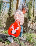 My Carry Potty Olita portabila cu capac si maner Vulpe