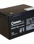 Nichiduta Acumulator vehicule copii 12V 12Ah