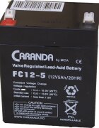 Nichiduta Acumulator vehicule copii 12V 5Ah