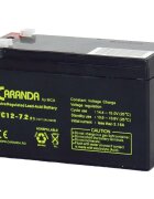 Nichiduta Acumulator vehicule copii 12V 7.2Ah