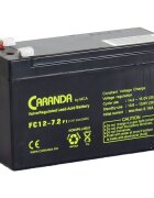Nichiduta Acumulator vehicule copii 12V 7.2Ah