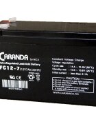Nichiduta Acumulator vehicule copii 12V 7Ah