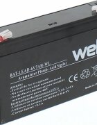 Nichiduta Acumulator vehicule copii 6V 7Ah