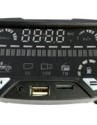 Nichiduta Unitate audio multimedia masinuta electrica Audi