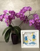 Noorhandmadeatelier Tablou luminos Frati 001