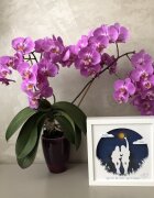 Noorhandmadeatelier Tablou luminos Prietene 001