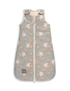 Nor Pufos Sac de dormit din bumbac 0-4 luni Newborn Animale de Epoca Sky Blue Sleepee 25 tog