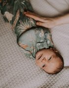 Nor Pufos Saculet Swaddle pentru infasat + caciulita Second Step Animale de epoca almond sleepee