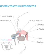 Nosiboo Aspirator nazal electric Pro2 Verde