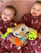 Playgro Jucarie carucior sau scaun auto cu inele pentru dentitie Sensory Friend Salo Sloth