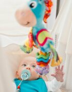 Playgro Jucarie pentru caruciorscoica autopatut Activity Friend Clip Clop 39 cm