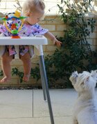 Playgro Jucarie pentru scaunul de masa cu ventuza High chair Spinning Toy 19.5 cm