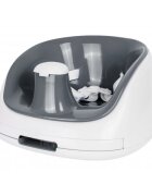 Prince Lionheart Booster anthracite baza alba 4 luni+