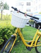 Procart Cos frontal pentru bicicleta prindere curele 21x36x24 cm detasabil ratan alb