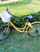 Procart Cos frontal pentru bicicleta prindere curele 21x36x24 cm detasabil ratan alb