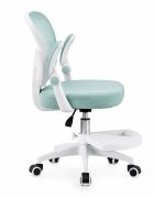 Procart Scaun de birou ergonomic pentru copii si adolescenti verde menta reglabil pe inaltime suport picioare