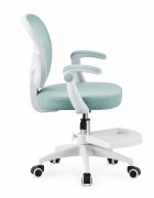 Procart Scaun de birou ergonomic pentru copii si adolescenti verde menta reglabil pe inaltime suport picioare