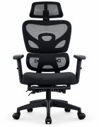 Procart Scaun ergonomic de birou cu suport picioare retractabil tetiera si suport lombar reglabile mesh negru