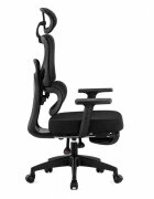 Procart Scaun ergonomic de birou cu suport picioare retractabil tetiera si suport lombar reglabile mesh negru