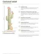 Promotional Print Metru de masurat copii Cactusul vesel autocolant textil Premium repozitionabil 47x142 cm