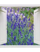Promotional Print Sticker perete 3D Lan de lavanda autocolant textil Premium repozitionabil 56x47 cm