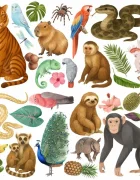 Promotional Print Stickere perete Animale din Jungla pentru camera copilului autocolant textil premium repozitionabil set mare