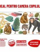 Promotional Print Stickere perete Animale din Jungla pentru camera copilului autocolant textil premium repozitionabil set mare