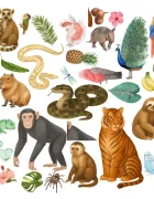 Promotional Print Stickere perete Animale din Jungla pentru camera copilului autocolant textil premium repozitionabil set mare