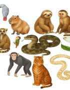 Promotional Print Stickere perete Animale din Jungla pentru camera copilului autocolant textil premium repozitionabil set mediu