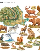 Promotional Print Stickere perete Harta fizica a Romaniei cu animale pentru camera copilului relief si ape autocolant textil premium repozitionabil set mare