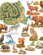 Promotional Print Stickere perete Harta fizica a Romaniei cu animale pentru camera copilului relief si ape autocolant textil premium repozitionabil set mare