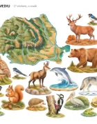 Promotional Print Stickere perete Harta fizica a Romaniei cu animale pentru camera copilului relief si ape autocolant textil premium repozitionabil set mediu